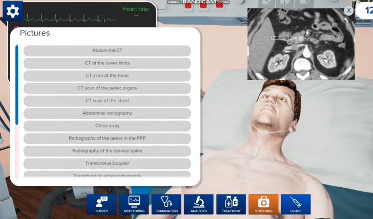 Leonardo VR screening of the virtual patient